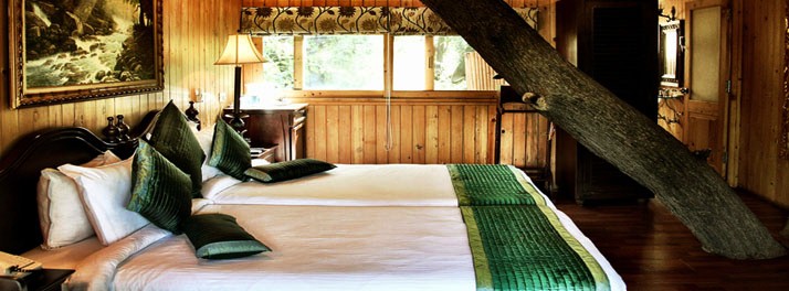 728/The Tree House & Water House Resort - Jaipur 07.jpg